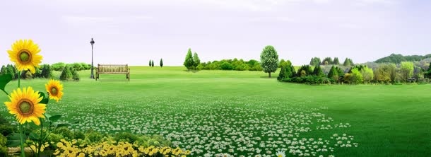 创意自然简约背景
