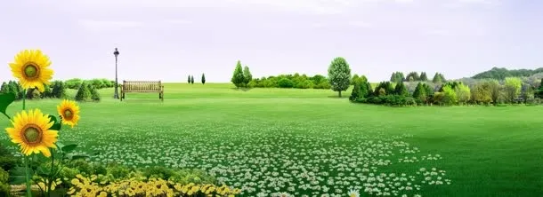 创意自然简约背景