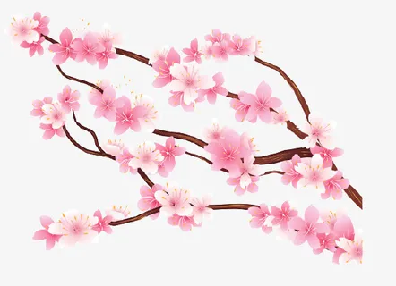 中国风水墨樱花元素免抠