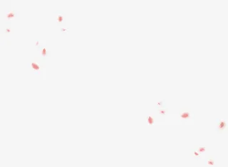 飞舞模糊不规则大小花瓣免抠