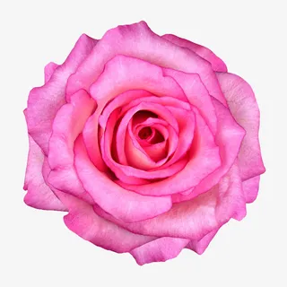 手绘花朵图片唯美背景图片