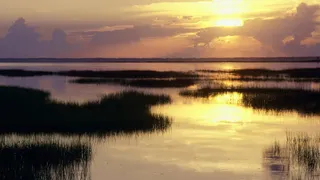 夕阳云彩海面水草免抠