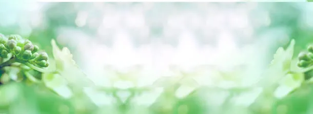 温馨清爽背景banner