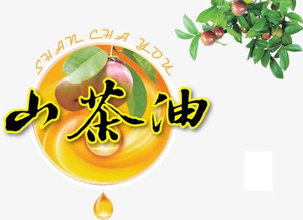 山茶油素材免抠标签元素