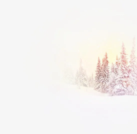 梦幻粉色冬季树林雪地免抠