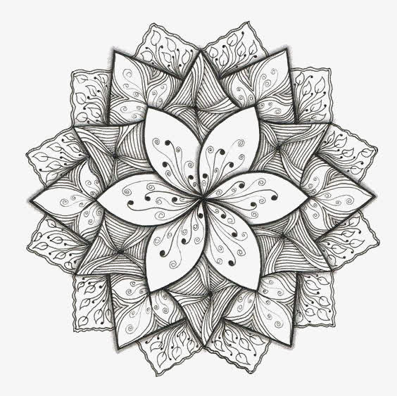 花朵免抠