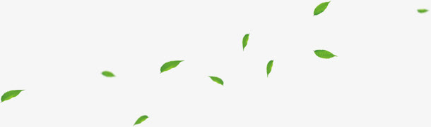 绿色漂浮春季树叶免抠