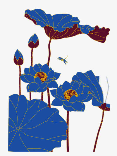 荷花免抠
