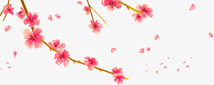 手绘纷飞梅花花瓣植物免抠