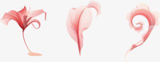矢量创意手绘花瓣免抠