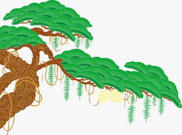 松树古树免抠