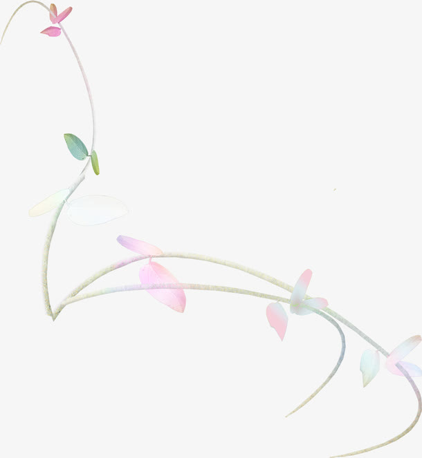 花枝免抠