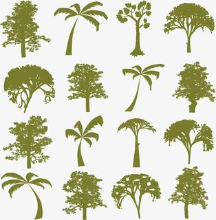 绿色剪影树木免抠