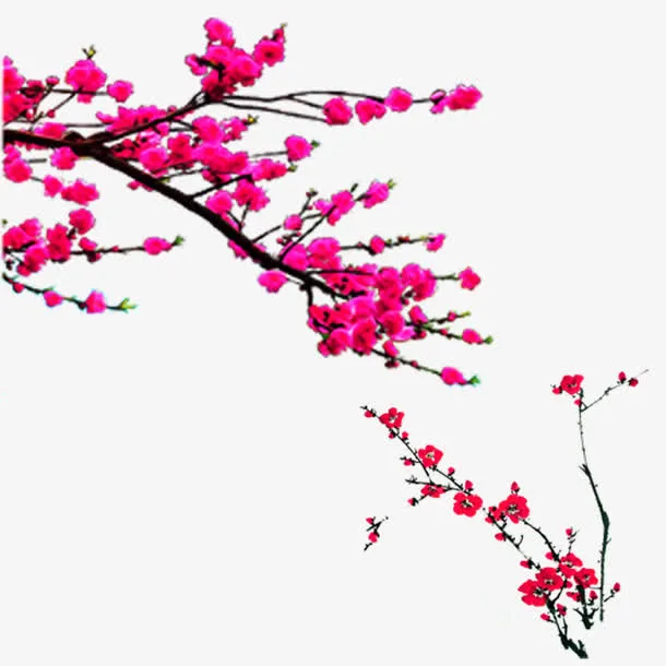 桃花免抠