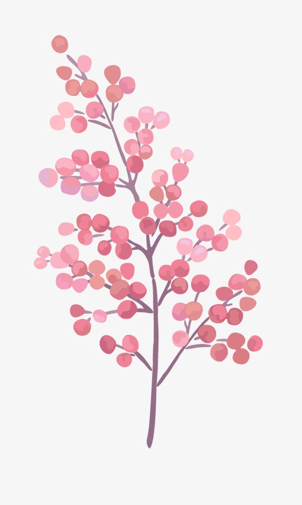 手绘植物免抠