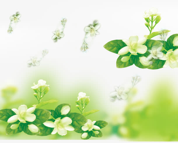 春天绿色茉莉花免抠