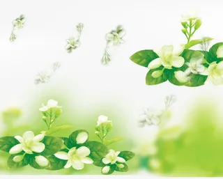 春天绿色茉莉花免抠