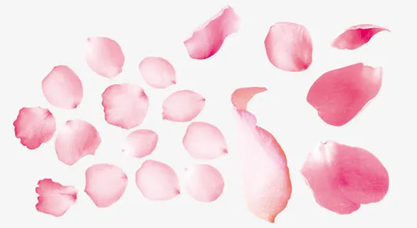 漂浮花瓣免抠