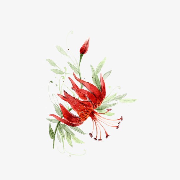 卡通手绘红色的彼岸花免抠