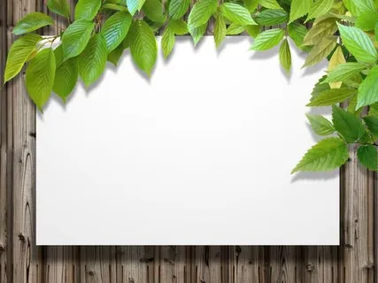 叶子与木板背景高清免抠 叶子与木板背景高清免抠