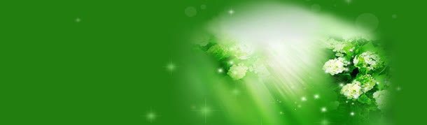 唯美花瓣banner展板