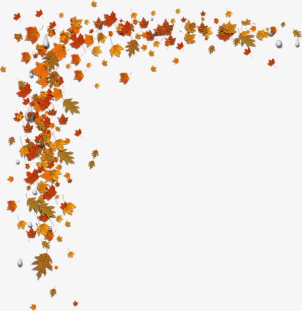 黄色叶子边框装饰免抠