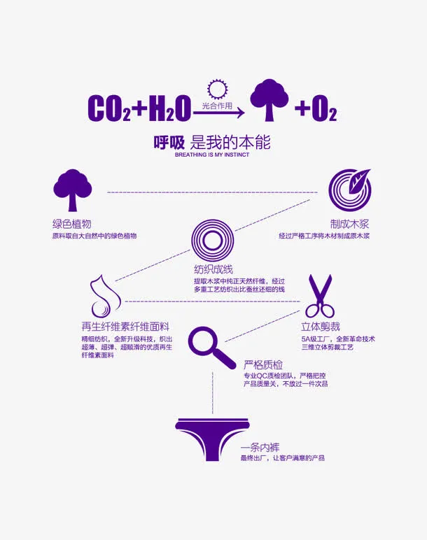 树到内裤流程图免抠