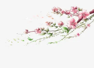 唯美手绘桃花免抠