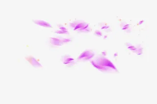 花瓣PNG素材免抠