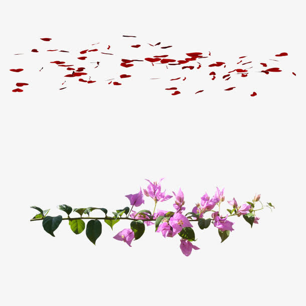 紫色花朵免抠