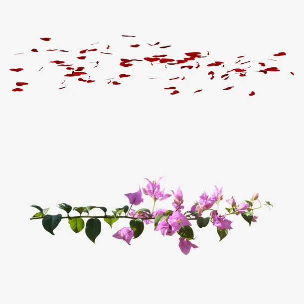 紫色花朵免抠