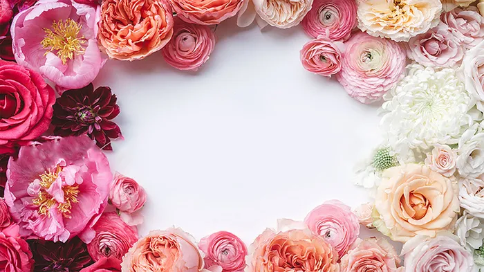 花卉展板文艺简约海报背景高清