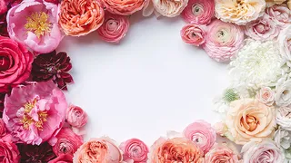 花卉展板文艺简约海报背景高清