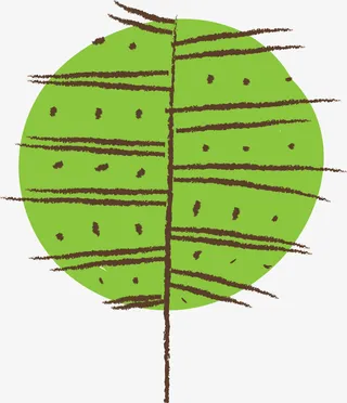 绿色简约线条树叶免抠