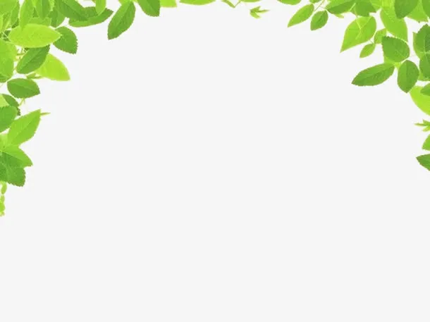 绿叶左右对称边框免抠