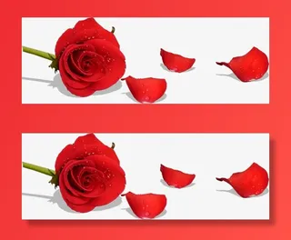 水珠玫瑰花花瓣免抠