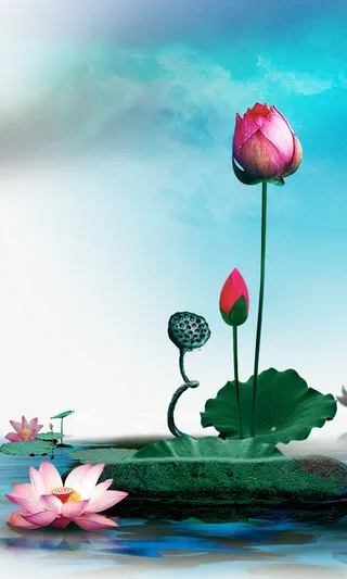 荷叶莲花漂浮免抠