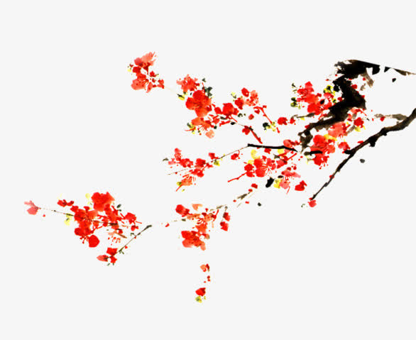 花卉免抠