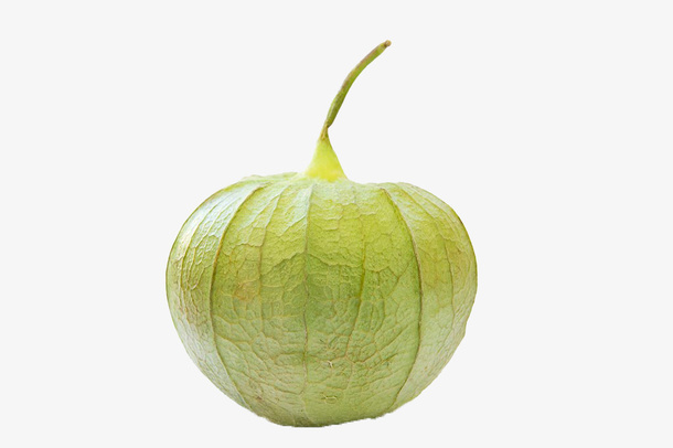 绿色灯笼果免抠