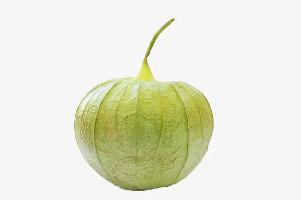 绿色灯笼果免抠