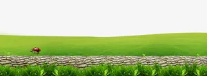 绿色草地树干装饰边框免抠