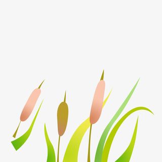 春天踏青背景小草