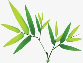 端午节竹叶叶子素材免抠