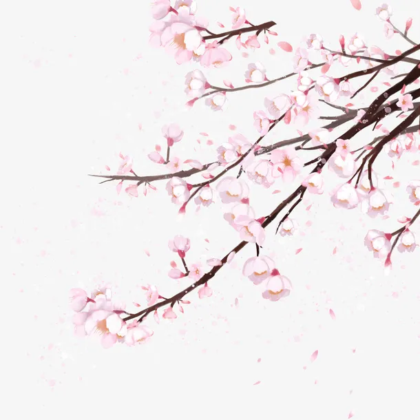 唯美樱花春日赏花元素免抠