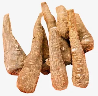 中药材白芷免抠