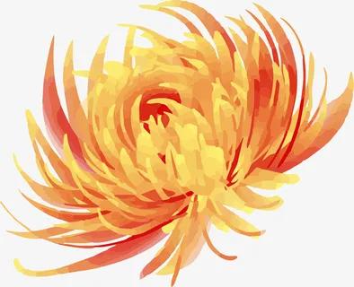 手绘中国的菊花免抠