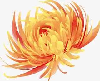 手绘中国的菊花免抠