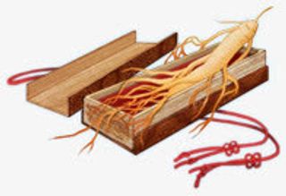 中国风人参免抠