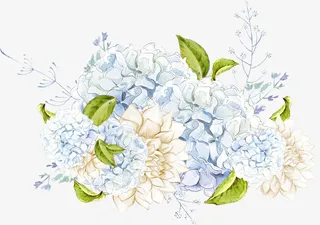 手绘水彩蓝色绣球花免抠