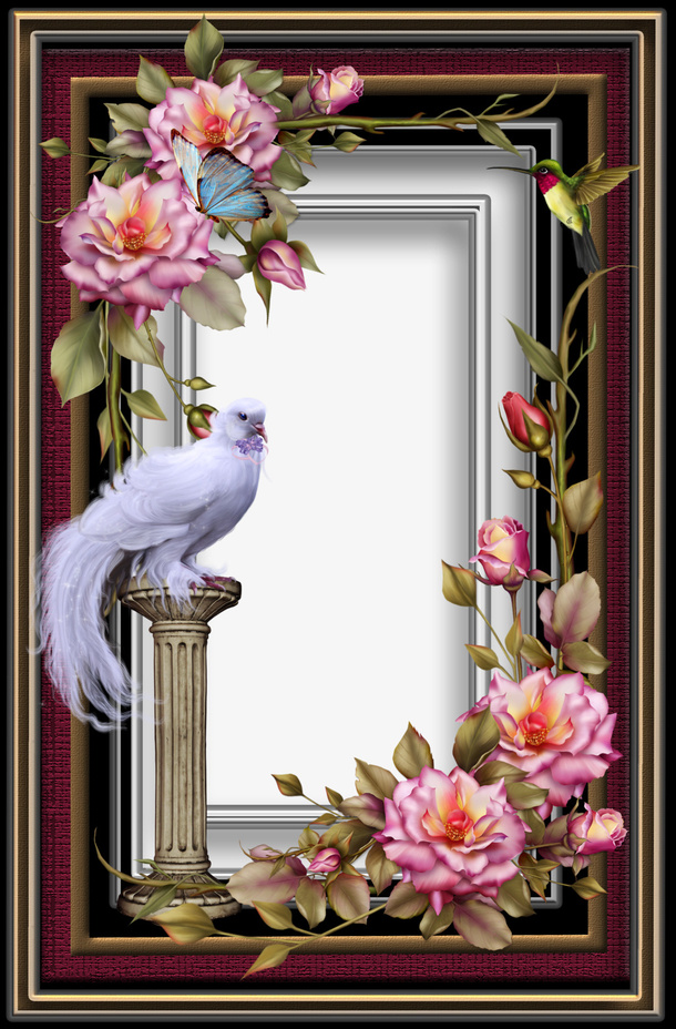 最美相框179免抠